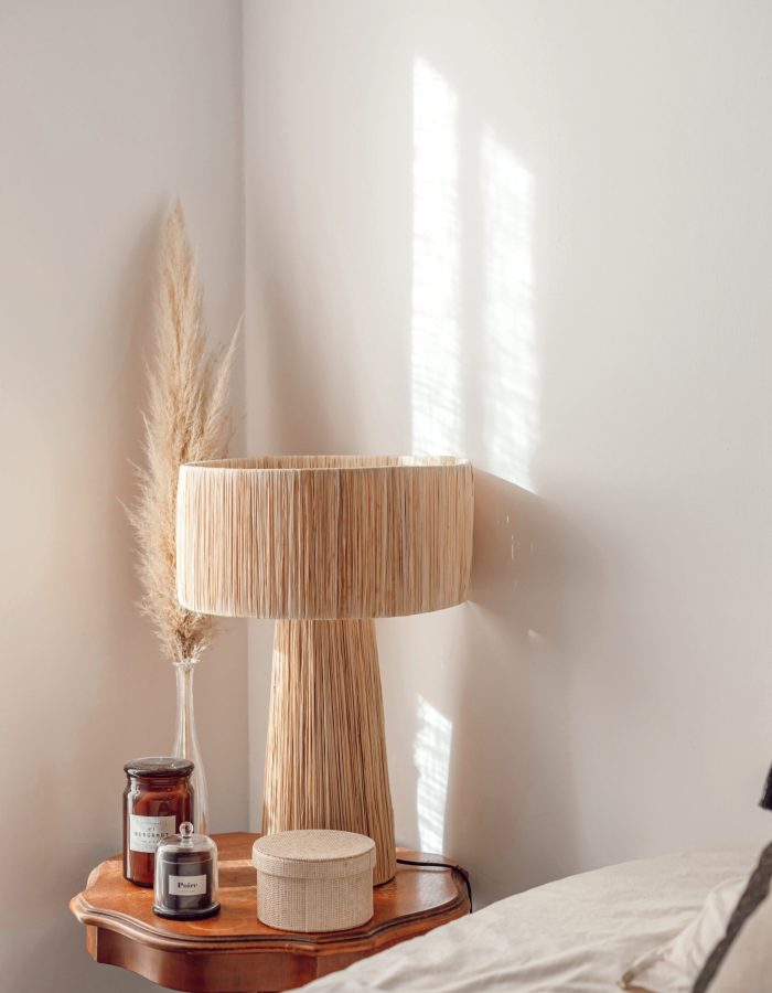 A47CD36E-DD7D-4B1E-9C0B-95199D88E2C8 2