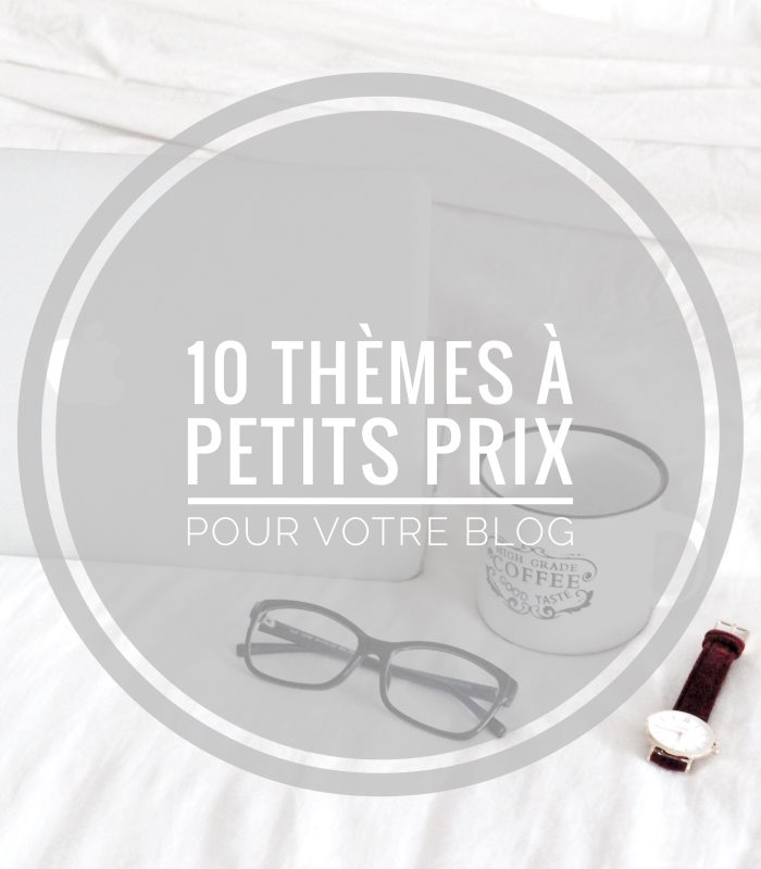 thèmes à petits prix pour son blog